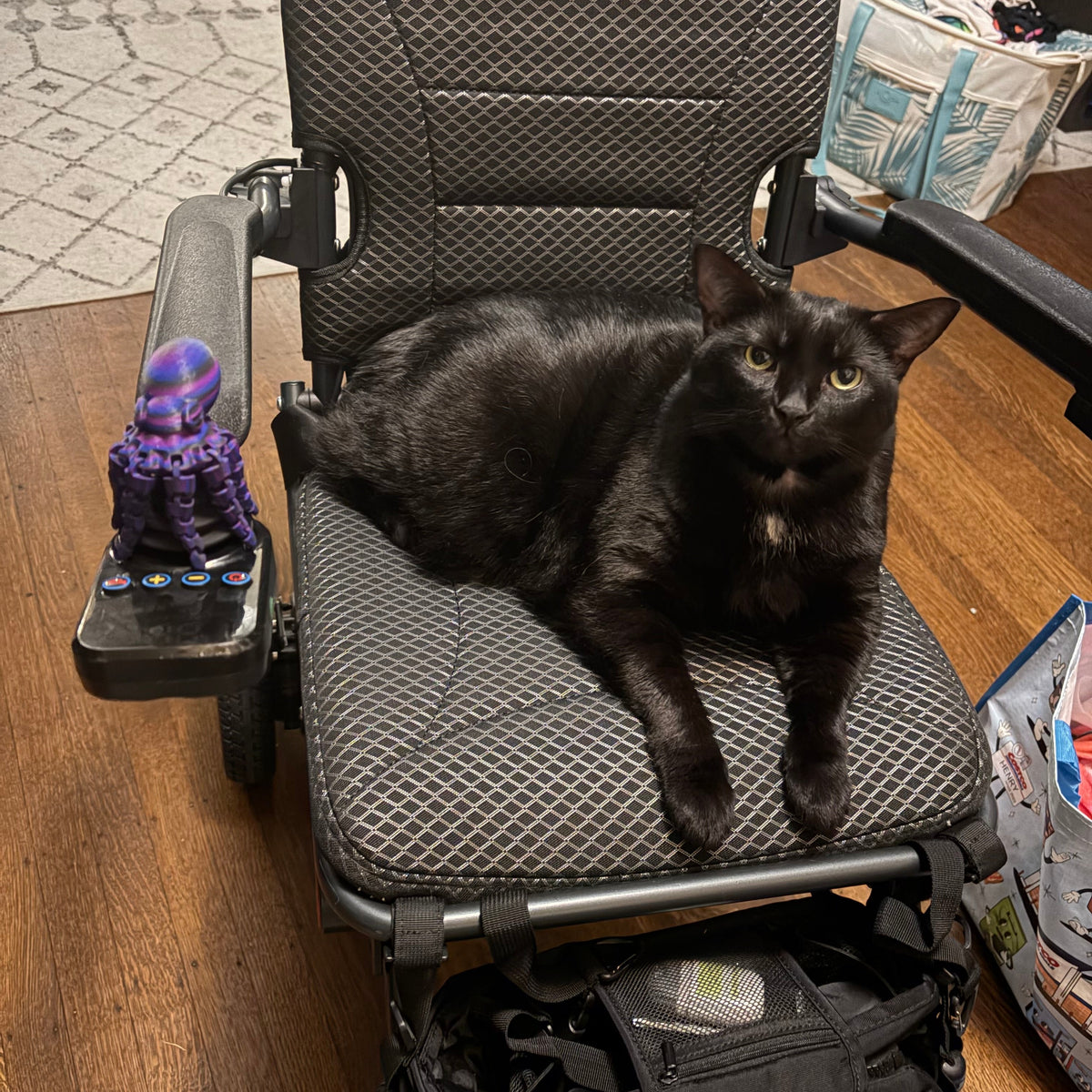 A black cat lies stretched out on a black wheelchair in a home office setting. A multicolor octopus is on the joystick of the electric wheelchair.
